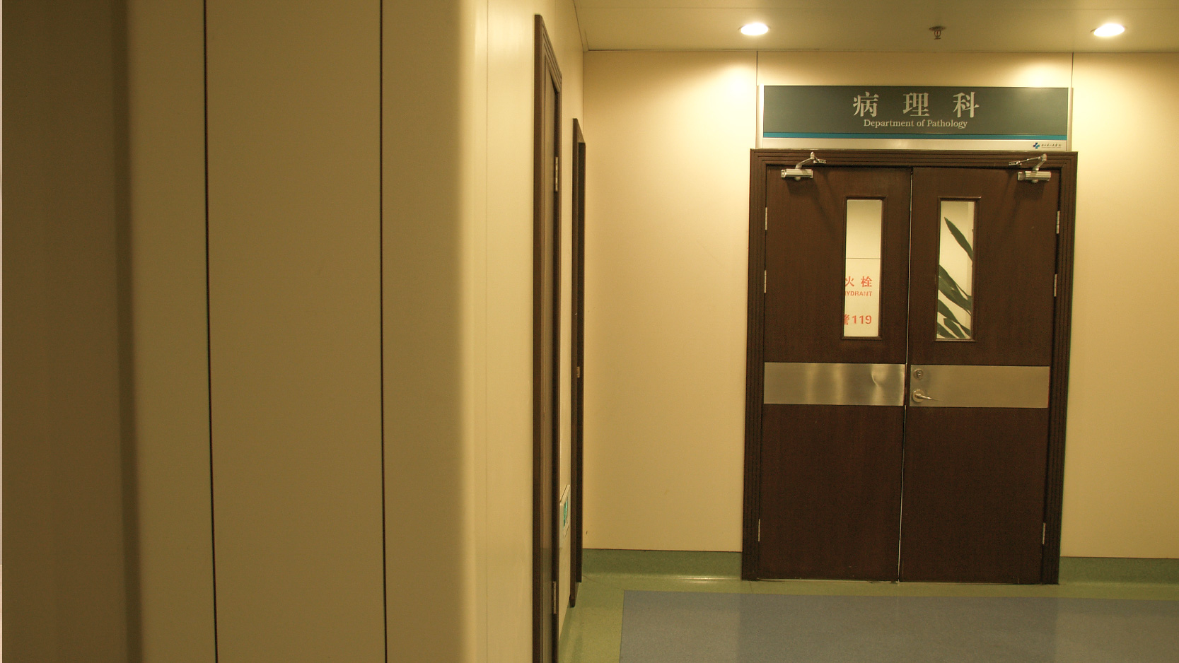 上海瑞欣裝飾材料有限公司