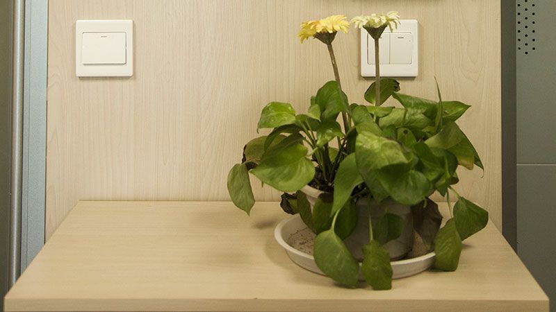 上海瑞欣裝飾材料有限公司